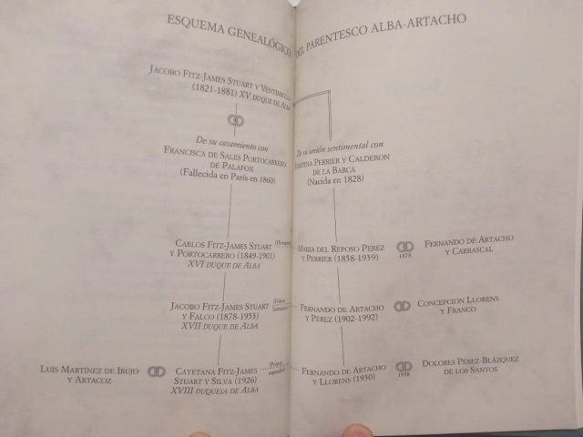 Los otros Alba. Libro biografía familia ilegítima