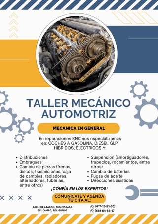 MECÁNICO PROFESIONAL, REPARACIÓN Y MANTENIMIENTO