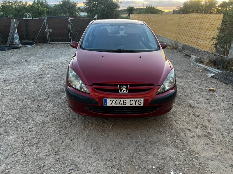 Peugeot 307 - foto 1