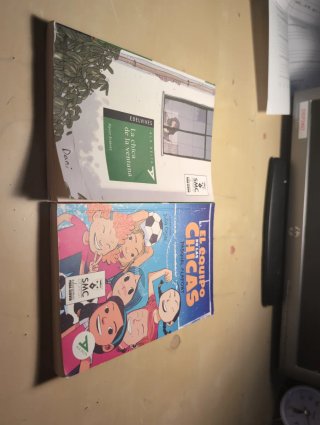 Lote de 2 libros infantiles