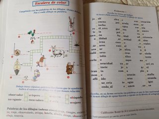 Ortografía ideovisual nivel 6