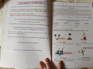 Ortografía ideovisual nivel 6