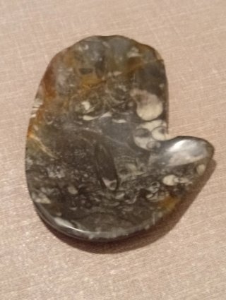Mano de Fátima piedra con preciosos fósiles