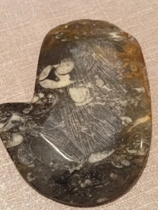Mano de Fátima piedra con preciosos fósiles