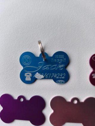 Medagliette personalizzate per animali