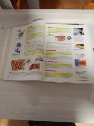 1 Bachillerato Libro Biología y física y química