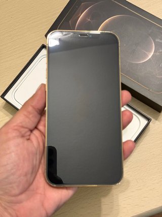 iPhone 12 Pro Max 100% Batería