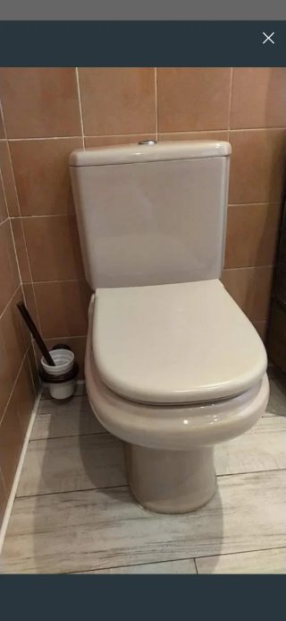 Tapa WC Roca Dama Retro color Visón