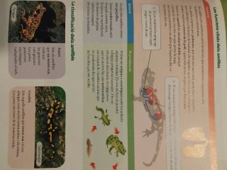 BIOLOGIA I GEOLOGIA 1 SEC CONSTRUINT MONS