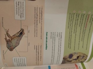 BIOLOGIA I GEOLOGIA 1 SEC CONSTRUINT MONS