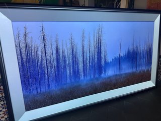 TV LG OLED 65 4K HDR CX5LB