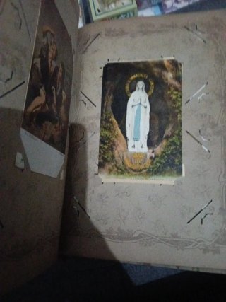 Álbum Antiguo Cartes Postales Flores