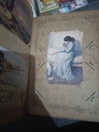 Álbum Antiguo Cartes Postales Flores