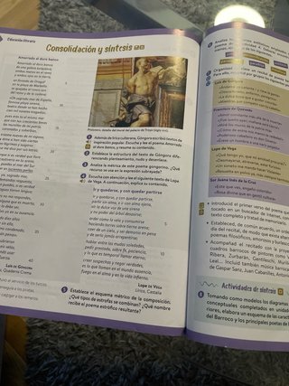 Lengua castellana y literatura Geniox