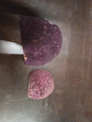 Geode Fetta Rosa e Viola