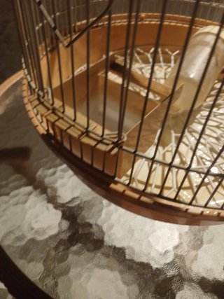 Jaula para pájaros beige y blanca tres puertas