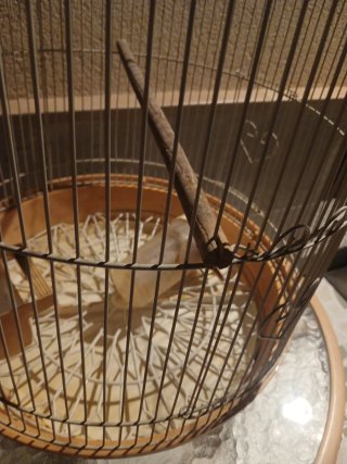 Jaula para pájaros beige y blanca tres puertas