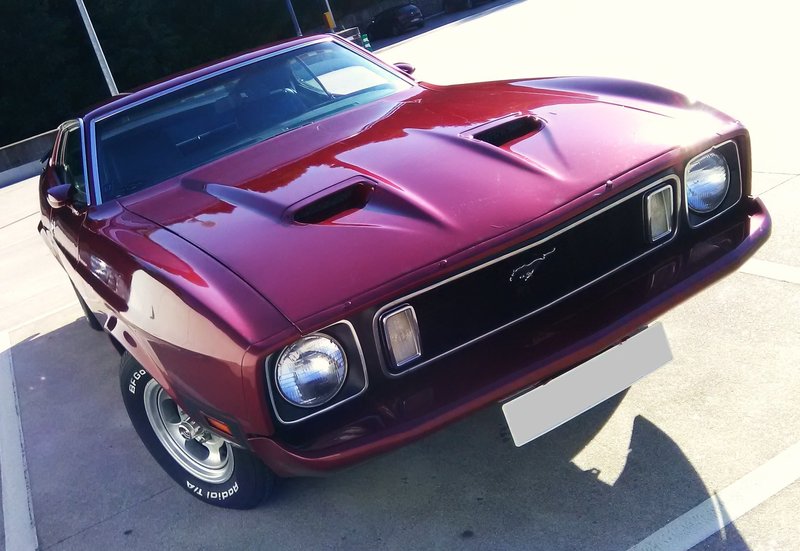 Ford Mustang Mach1 1973 clásico Mach 1 - foto 1