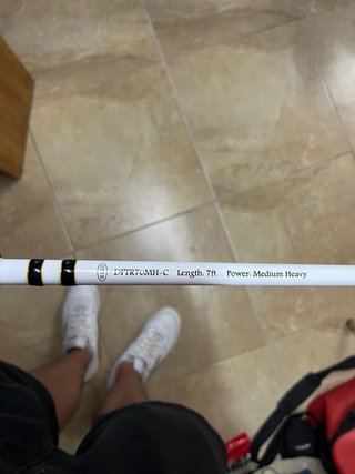 Caña de casting Duckett Triad