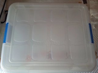 Caja de almacenaje transparente con tapa