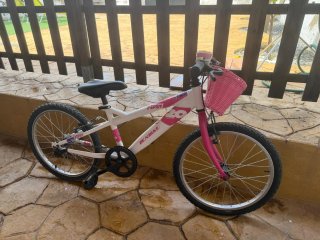 Bicicleta infantil DENBIKE 20 pulgadas
