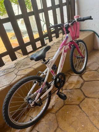 Bicicleta infantil DENBIKE 20 pulgadas