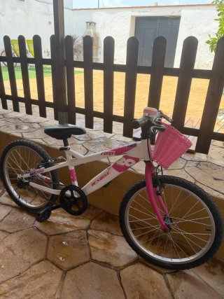 Bicicleta infantil DENBIKE 20 pulgadas