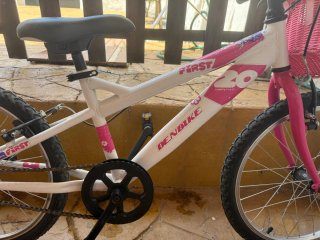 Bicicleta infantil DENBIKE 20 pulgadas