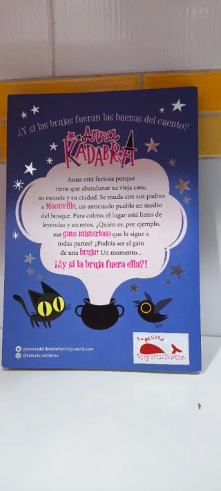 Lote de libros