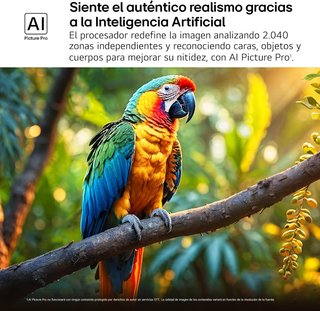 LG 55QNED84A6C televisor 55" 4K inteligente