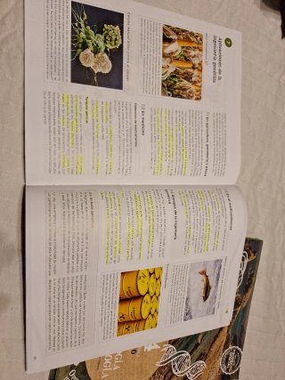 Biología y Geología, 4 ESO, Operación mundo