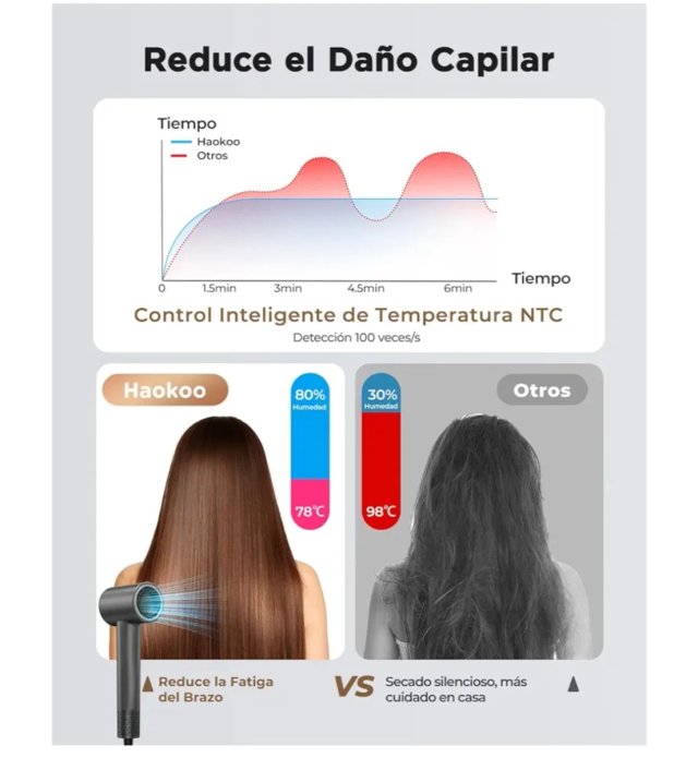 Secador de Pelo Haokoo Profesional Gris