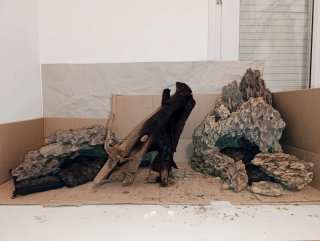 Decoración acuario piedra y madera