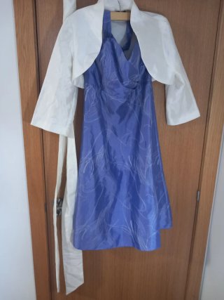Vestido de fiesta azul con estampado bordado.