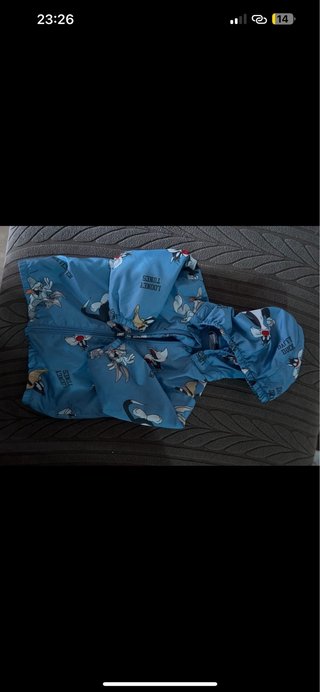 Giubbotto neonato Looney Tunes, felpato all intero