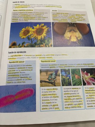 Biología Y Geología 1 Secundaria