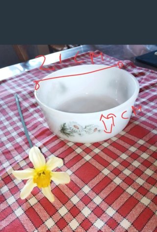 Cuenco Bol ensaladera Arcopal flor margaritas