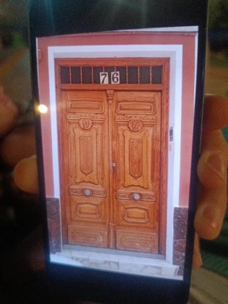 Puerta doble de madera maciza