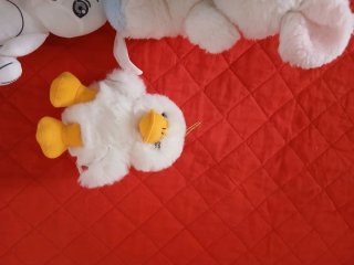 Lotto 13 peluche assortiti
