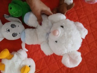 Lotto 13 peluche assortiti