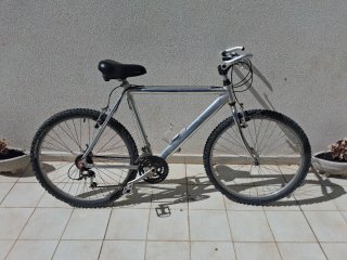 Bicicleta de montaña plateada