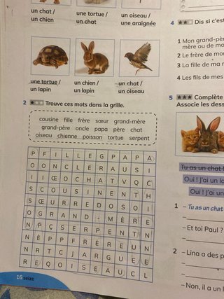 Silhouette 1. Cahier d'exercices