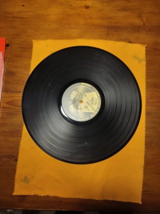 Vinilo Skalherria Punk Vómito Virus de Rebelión