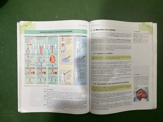 La cultura científica 1 bachillerato : libro de...