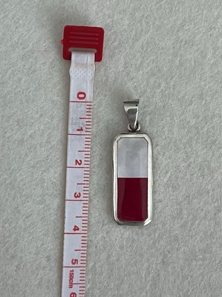 Colgante Plata 925 Bandera Polonia