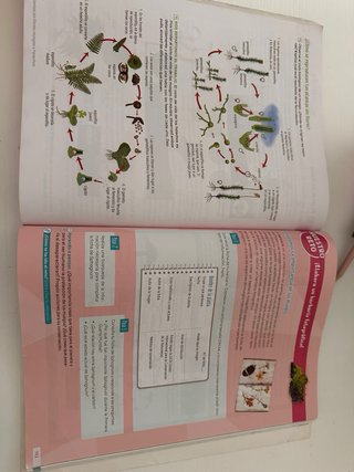 Biología y Geología. 1 Secundaria. Revuela. Cas...