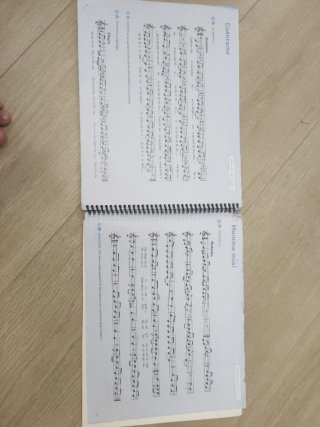 Música nuevo acordes. 5 primaria