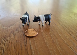 2 Cerditos Miniatura Blanco y Negro