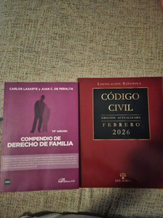 Compendio de Derecho de Familia Código civil