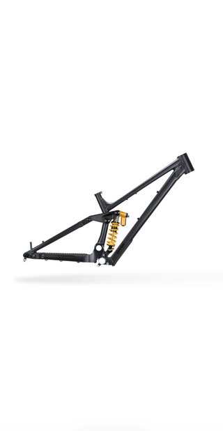 Telaio/Bici Downhill/DH o bici completa